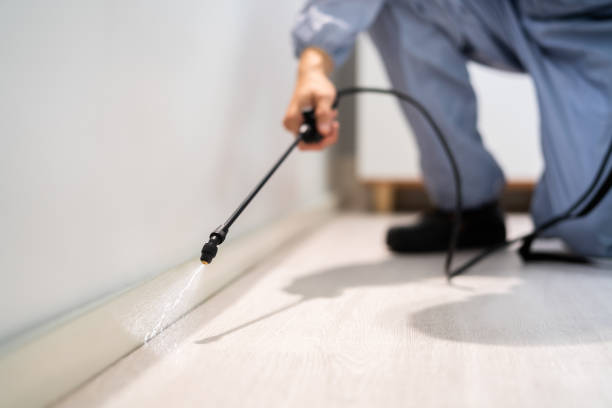Licensed Cockroach Control service in Rockville, IN - Nex Pest Control