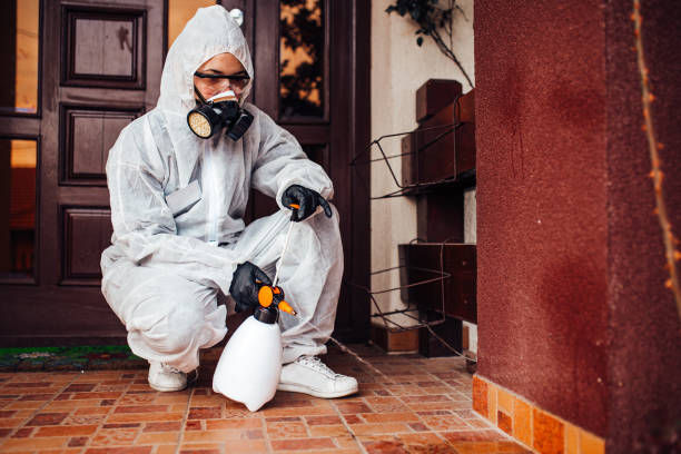 Reliable Cockroach Control contractor in Rockville, IN by Nex Pest Control