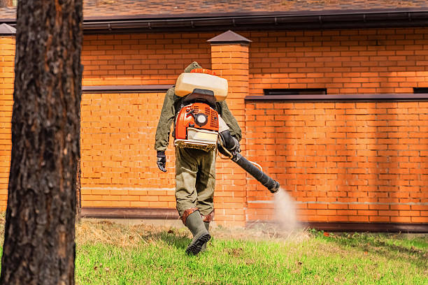 Top rated local Cockroach Control specialists in Rockville, IN